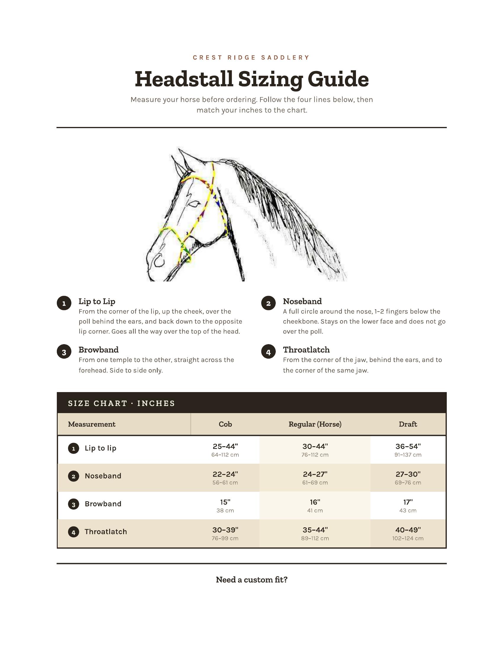 Headstall Sizing Guide — Crest Ridge Saddlery